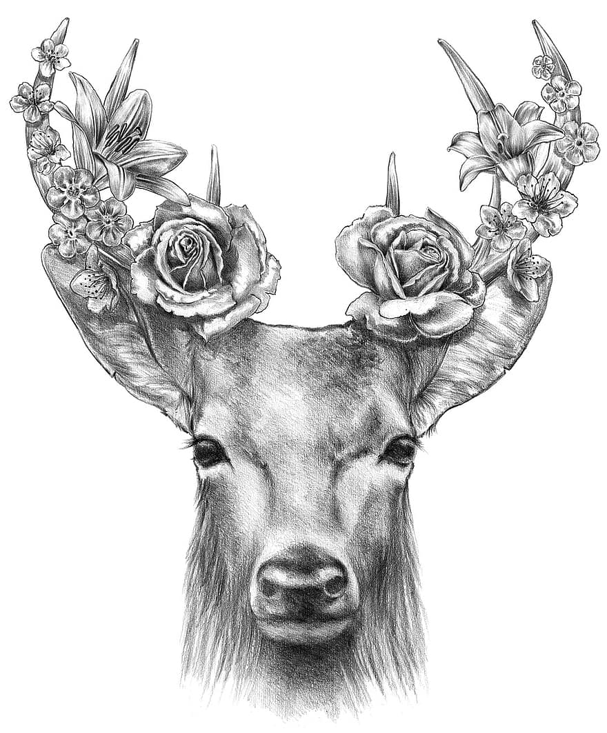 Deer, Flowers, illustration, isolated, antique, old-fashioned, black and white, classical style, decoration, engraved, history