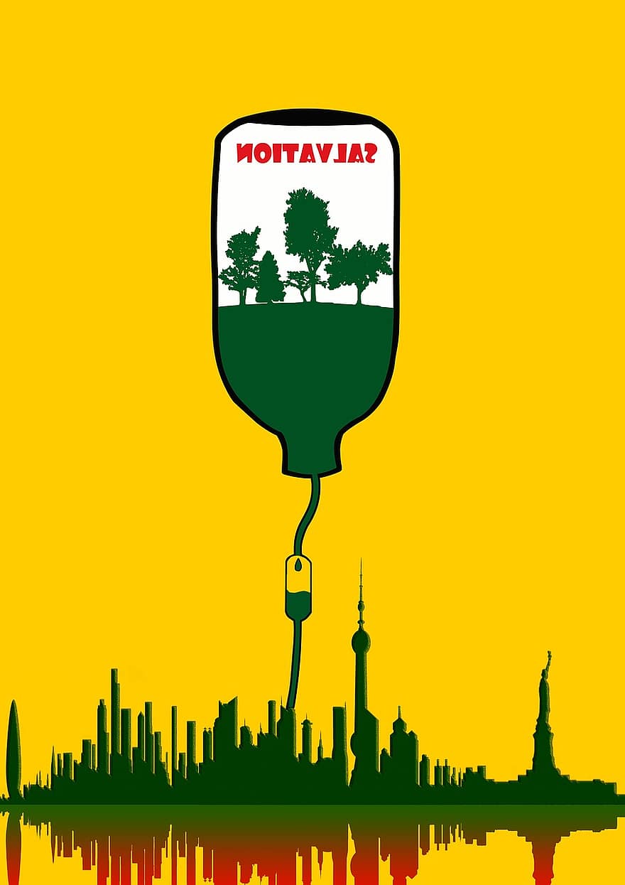 град, заобикаляща среда, екологичен плакат, Защита на горите