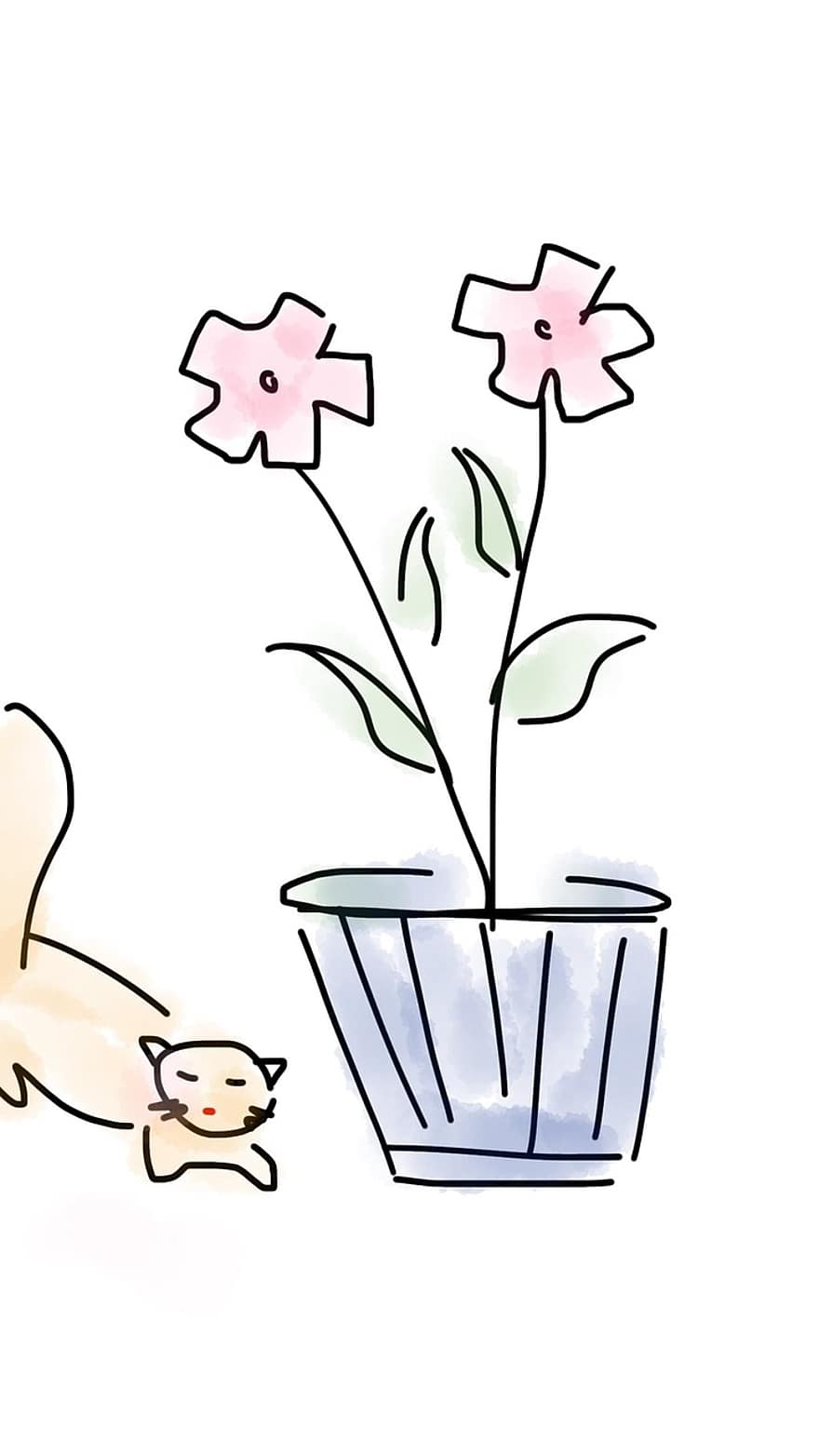 květ, kočka, zvíře, domácí zvíře, roztomilý, rostlina, koťátko, sladký, Domov, kotě, jaro