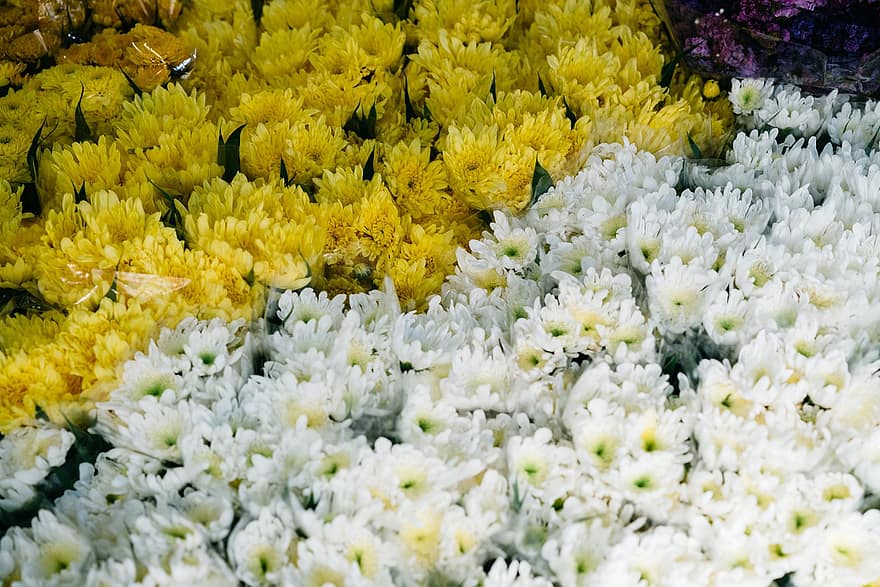 Flowers, Bouquet, Market, Florist, Nature, Close Up, Macro, Blossom, Bloom, Background, Plant