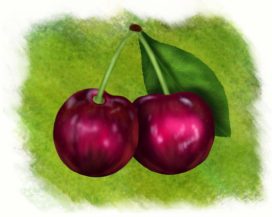 Cherries, Drawing, Fruits, Berries, fruit, freshness, food, ripe, leaf, healthy eating, organic