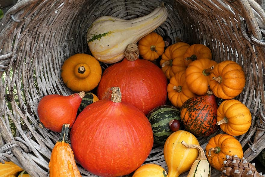 abóboras, abóbora, cesta, Cesta De Abóboras, produzir, colheita, orgânico, legumes, Vegetais frescos, estação do outono, decoração