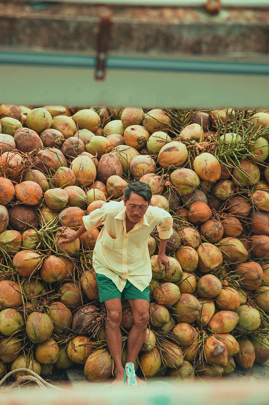 kokosnoot, vervoer-, Vietnam, schip, boot, platteland, oogst, mannen, landbouw, voedsel, fruit