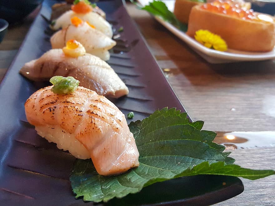 Sushi, salmón, cocina japonesa, plato