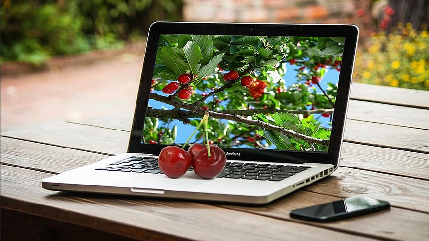 computer, portatile, ciliegia, frutta