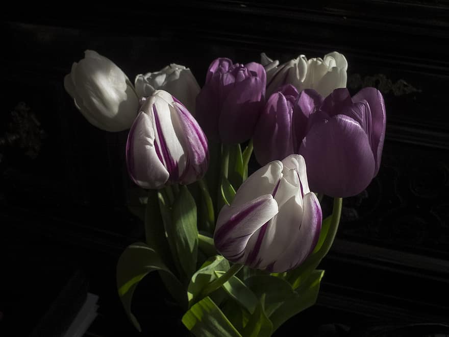 blomster, tulipaner, bukett, vår, blomst, blomstre, botanikk, natur, dekorasjon, tulipan, anlegg