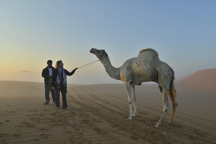 Wüste, Kamel, Kameltreiber, Mann, Frau, Sand, Dünen, Tier, Tourismus, trocken, Touristen