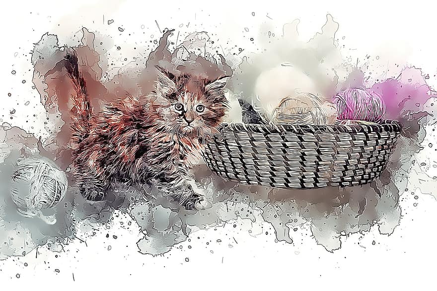 gatto, giovane gatto, gattino, palla di lana, giocoso, gatto domestico, felino, animale, carina, adorabile, mammifero