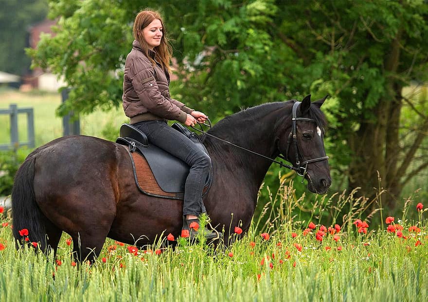 paard, vrouw, paardrijden, bloemen, veld-, meisje, gelukkig, paarden, dier, rijden