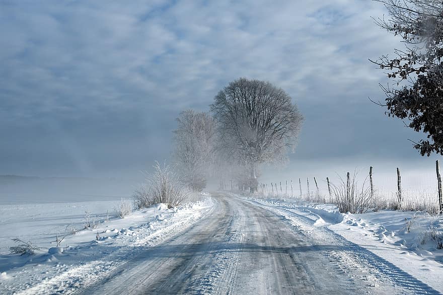 зима, път, сняг, скреж, замръзнал, студ, сезон, дърво, пейзаж, природа, пътуване