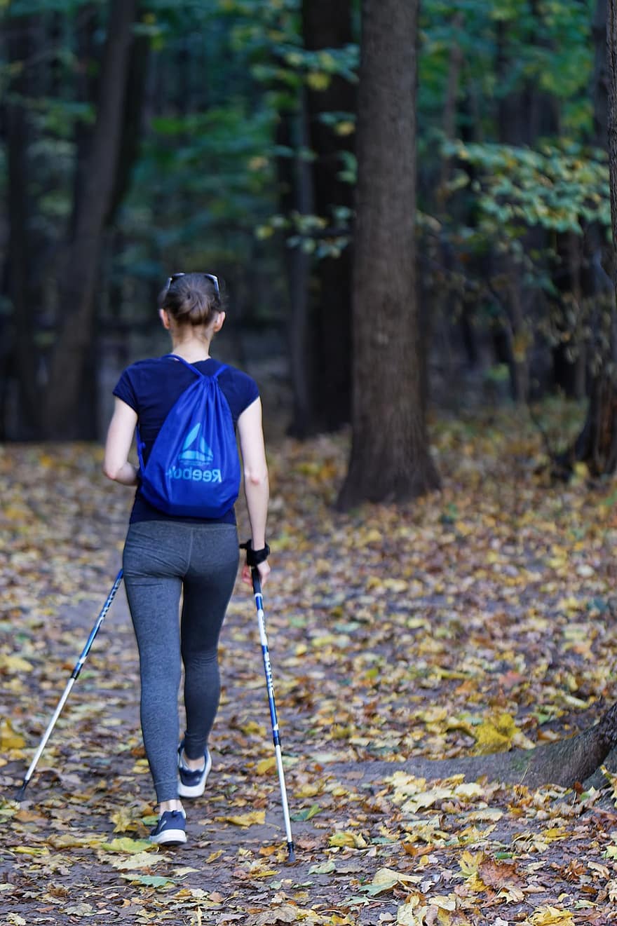 女性、トレッキング、杖、森林、自然、秋、木、ハイキング、バックパック、一人、歩く