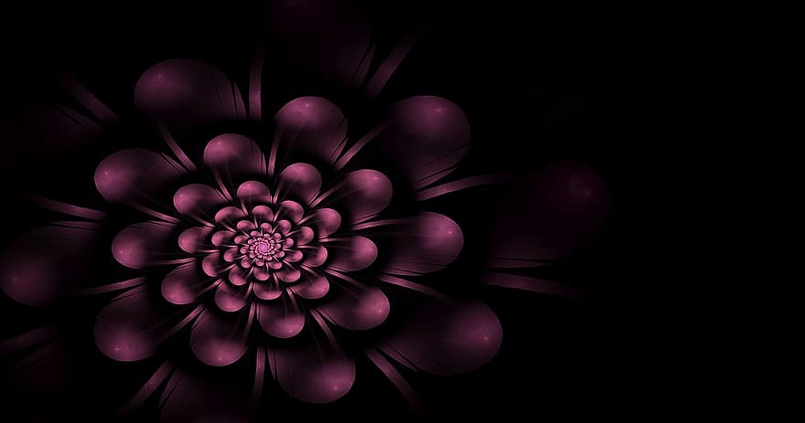 fractal, flor, lila, Violeta, púrpura, fantasía, floral, floración, arte fractal