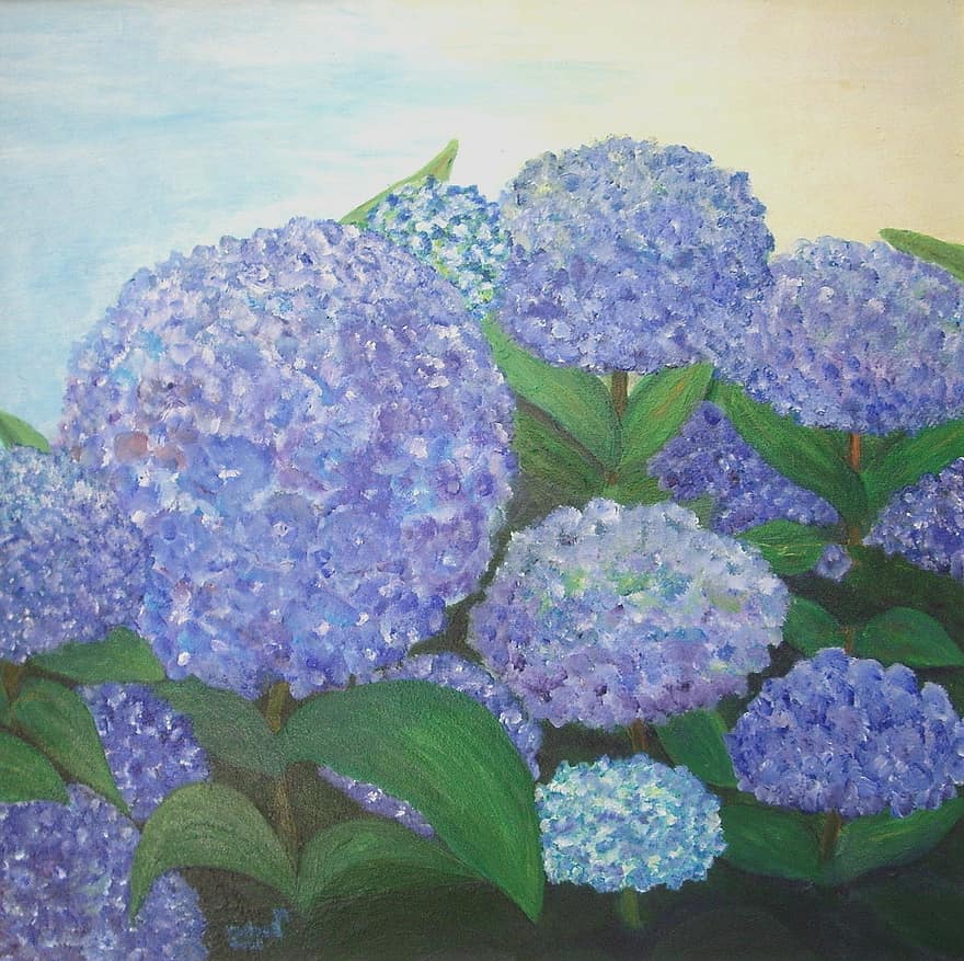 hortensiat, sininen, maalaus, kuva, taide, maali-, väri-, taiteellisesti, kuvan maalaus, Taiteilijat, sävellys