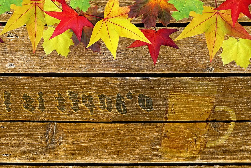 oktoberfest, galinė bazė, mediena, ruduo, Skelbimų lenta, lentos, sienos, bavarai, lapai, spalvinga, grunge