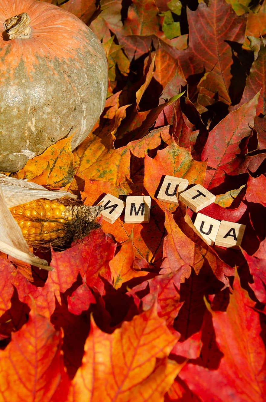 осень, падающий дух, осенний декор, лист, время года, октябрь, тыква, желтый, природа, разноцветный, Хэллоуин