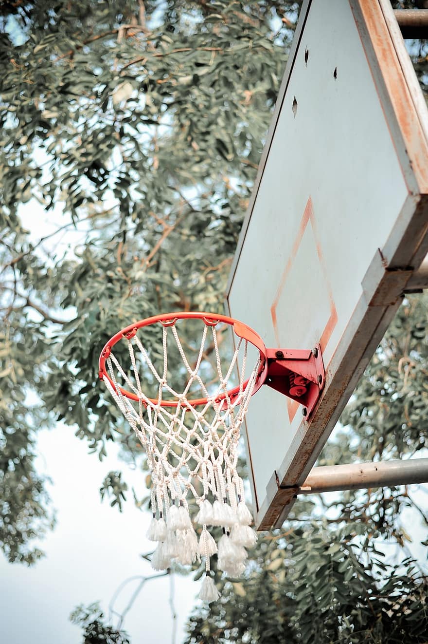 كرة سلة ، حلقة كرة السلة ، كرة السلة ، رياضة ، محكمة ، ملعب كرة السلة ، اوراق اشجار