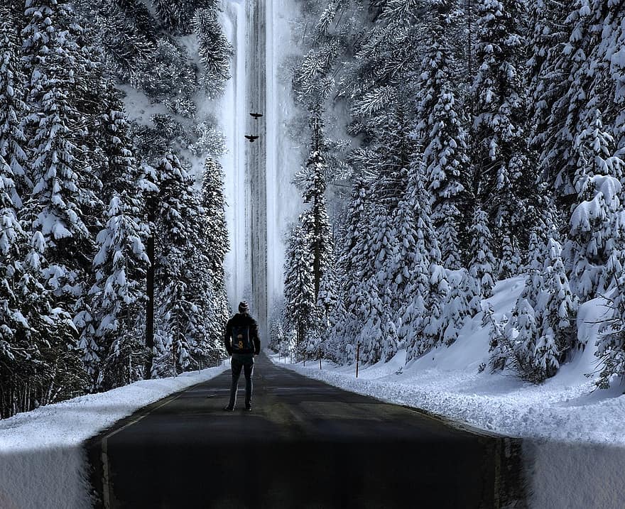 Bos, wegen, sneeuw, surrealistische, begin, droom, vogelstand, bomen, samengesteld, reis, wandelaar