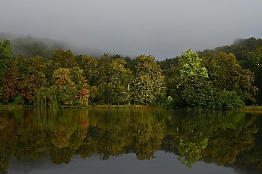 lac, copaci, reflecţie, imagine in oglinda, oglindire, pădure, ceaţă, parc, animale sălbatice, pustie, peisaj
