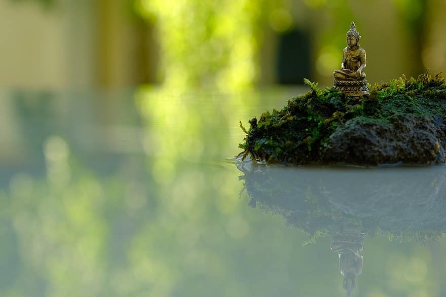 Buddha-Figur, Buddhismus, Religion, grüne Farbe, Pflanze, Blatt, Wachstum, Baum, Nahansicht, Wasser, Wald