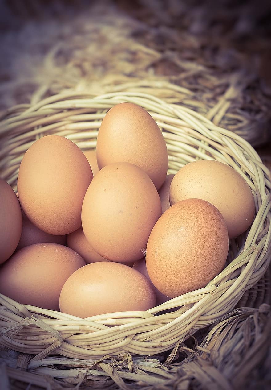 식품, 계란, 단백질, 본질적인