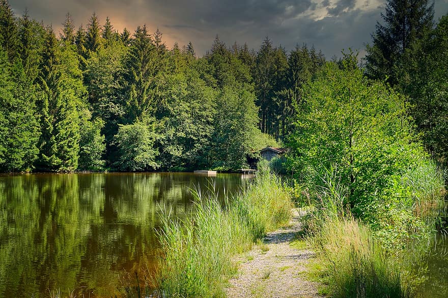 stezka, lesní cesta, pruh, jezero, rybník, louka, les, rostlina, turistika, krajina, bavaria