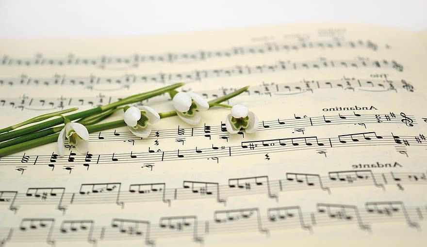 संगीत, पत्रक संगीत, सफ़ेद फूल का एक पौधा, गीत, कंसर्ट, ईस्टर गीत, ईस्टर, वसंत, वसंत गीत, गाने के लिए, क्लोज़ अप