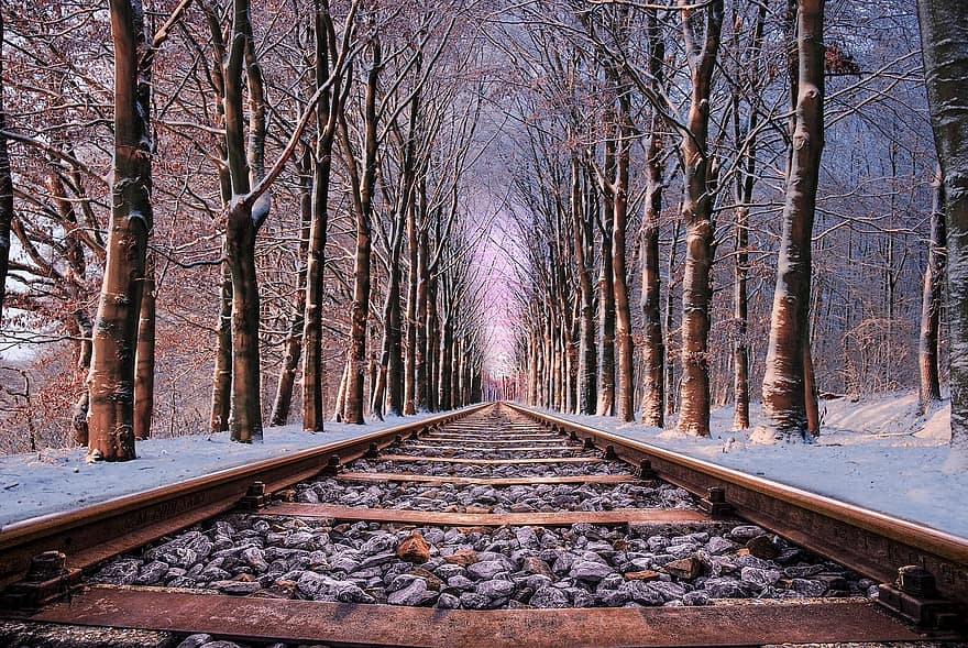trilho, estrada, árvore, infinito, neve, campo, pierre