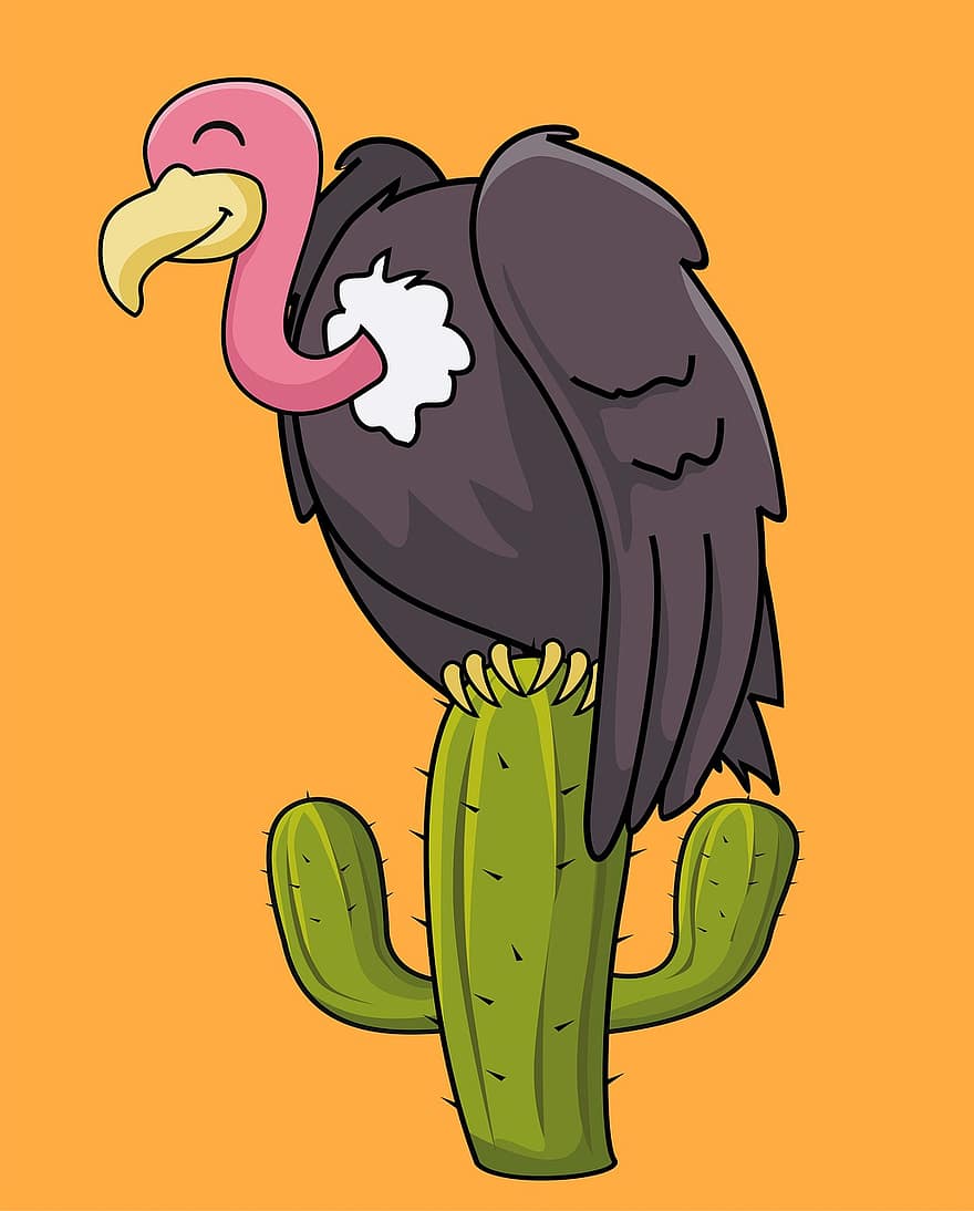vautour, oiseau, cactus, souriant, animal, prédateur, désert, mignonne, dessin animé