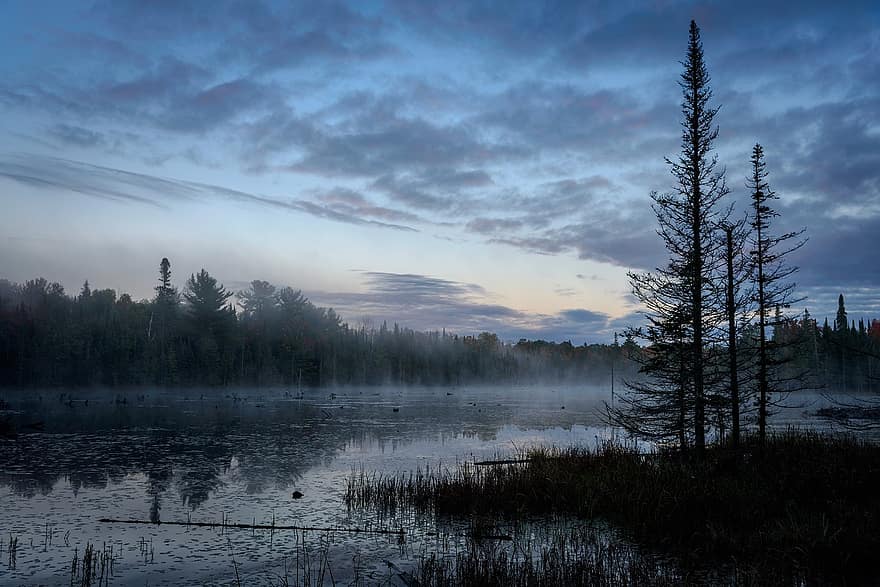 северен, Ontario, езеро, сутрин, мъглявина, езерце, пейзаж, природа, вода, Канада, дървета
