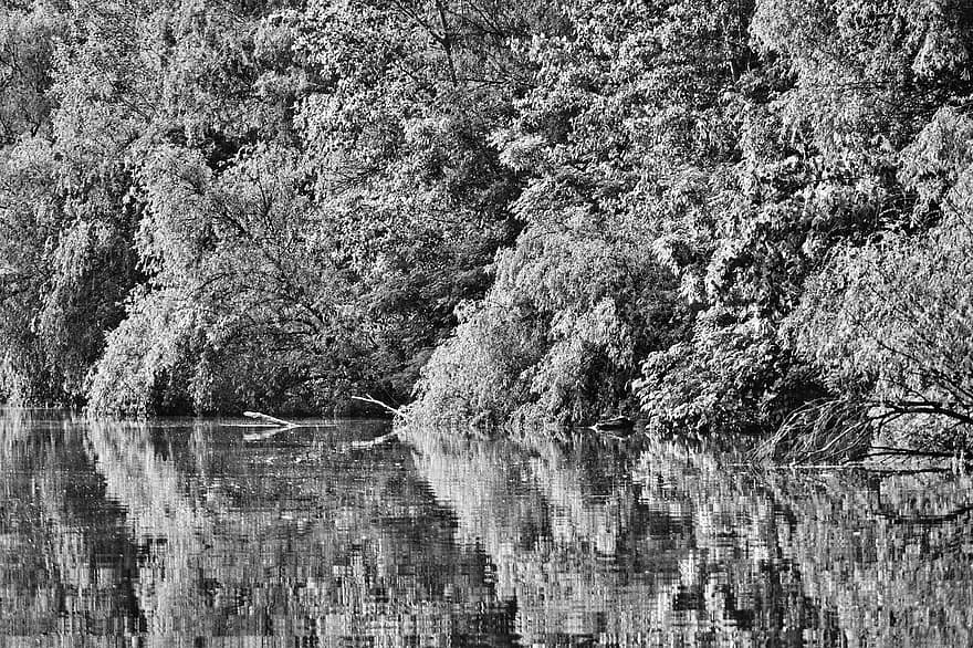 rivier-, bomen, reflectie, spiegel, water, natuur