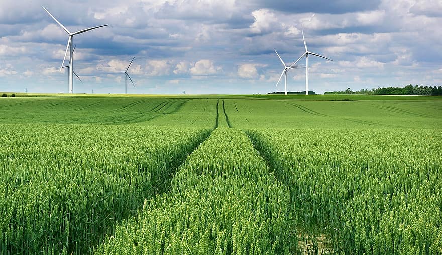 άνεμος, οικολογία, περιβάλλον, πράσινος, ενέργεια, φύση, τοπίο, σιτάρι, πεδίο, γεωργία, εξοχή