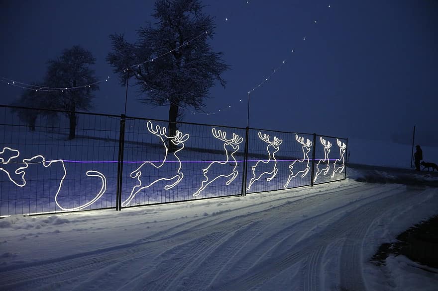 rens, Nadal, advent, neu, llums, il·luminació