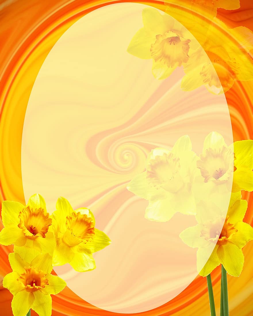 Wielkanoc, narcyz, owalny, tło, materiały biurowe, kartka z życzeniami, Pomarańczowy, żółty, wiosna, urodziny, abstrakcyjny