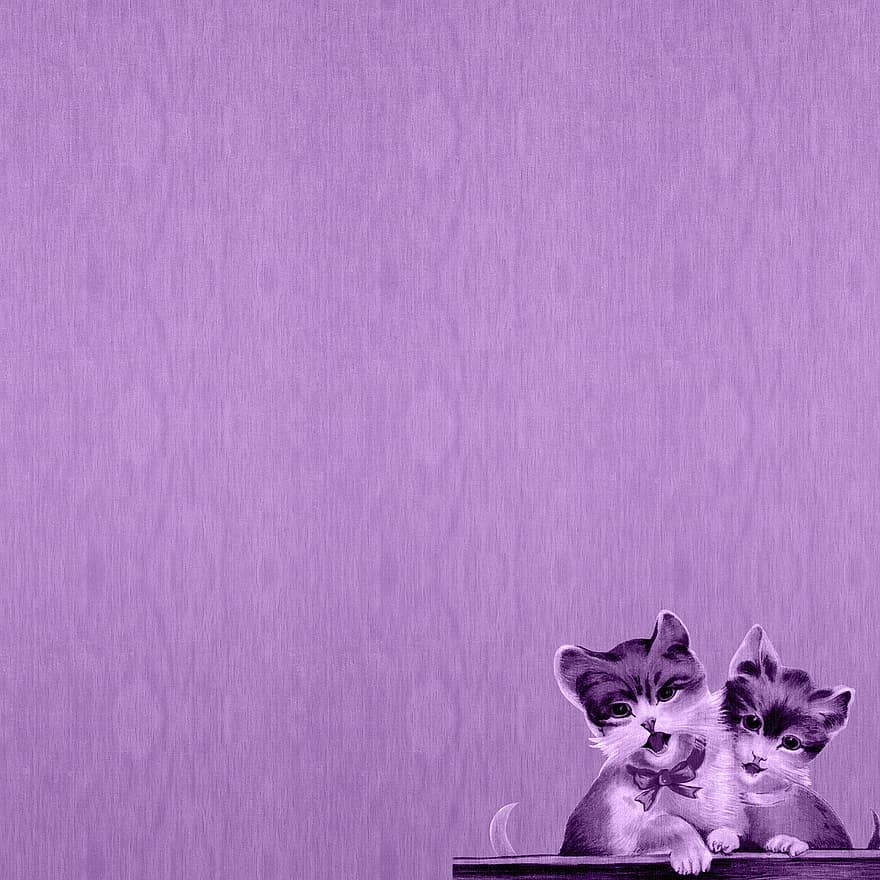 Fioletowy papier cyfrowy, Koty w stylu vintage, kotek, Kot w stylu vintage, scrapbooking, zaproszenie, album na wycinki, urodziny, tekstura, dekoracja, Powitanie