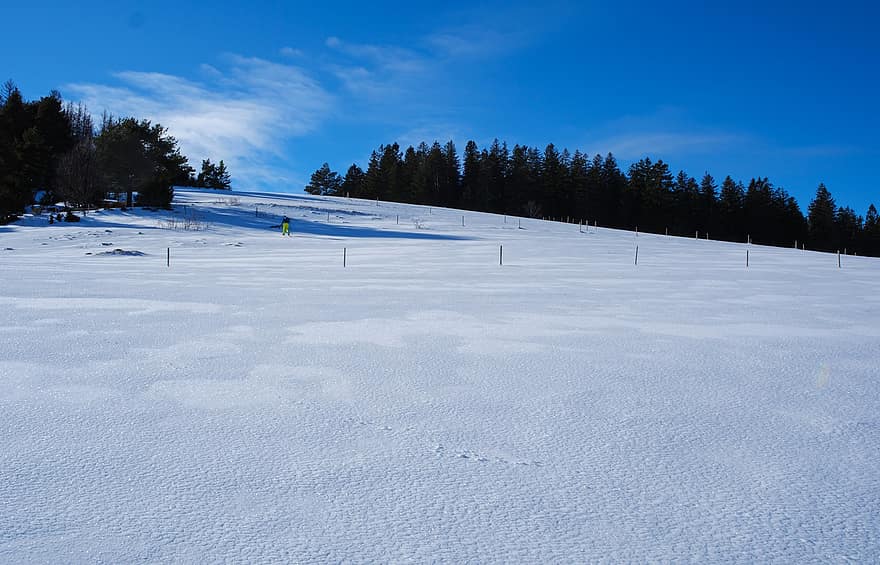 žiemą, pobūdį, sniegas, sezoną, dykumoje, lauke, kalnas, Sportas, mėlyna, slidinėjimo trasa, slidinėjimas