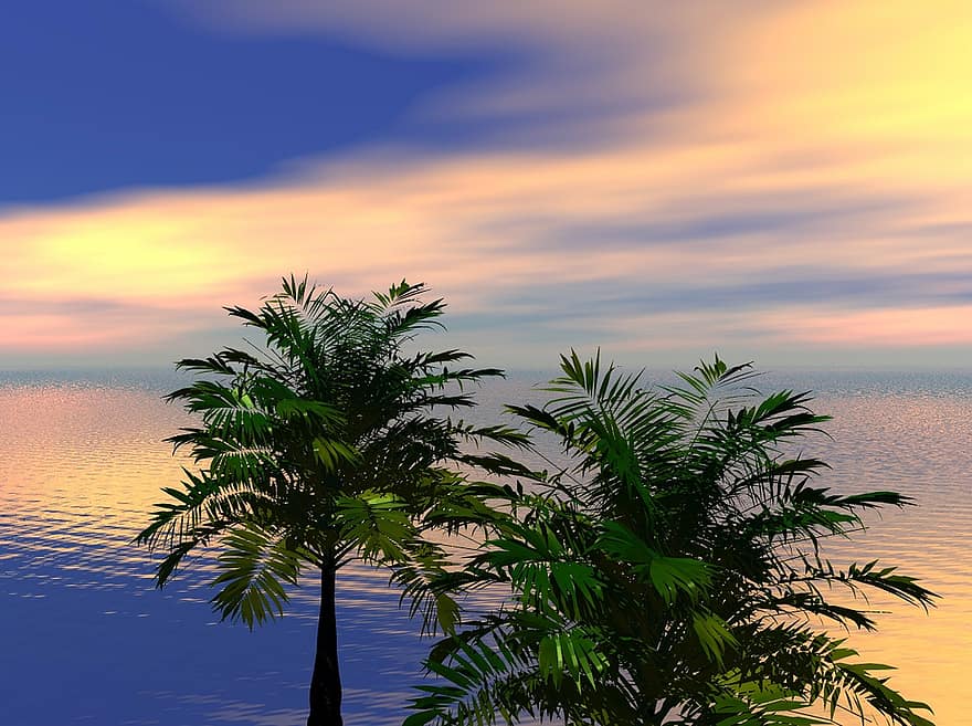 zee, oceaan, water, hemel, wolken, blauw, palmbomen, palmen, boom, palm, mooi