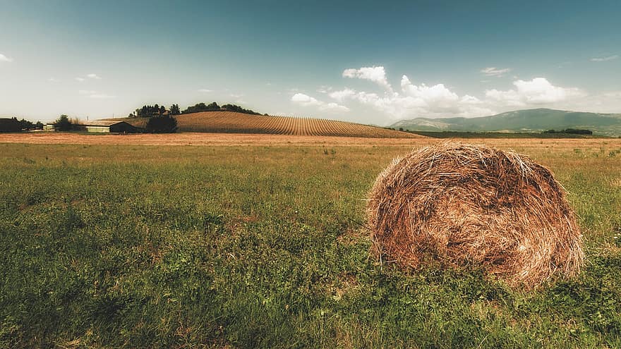 Straw, Bale, Field, Agriculture, Collections, Hay, Stubble, Nature, Cereals, Summer, Landscape