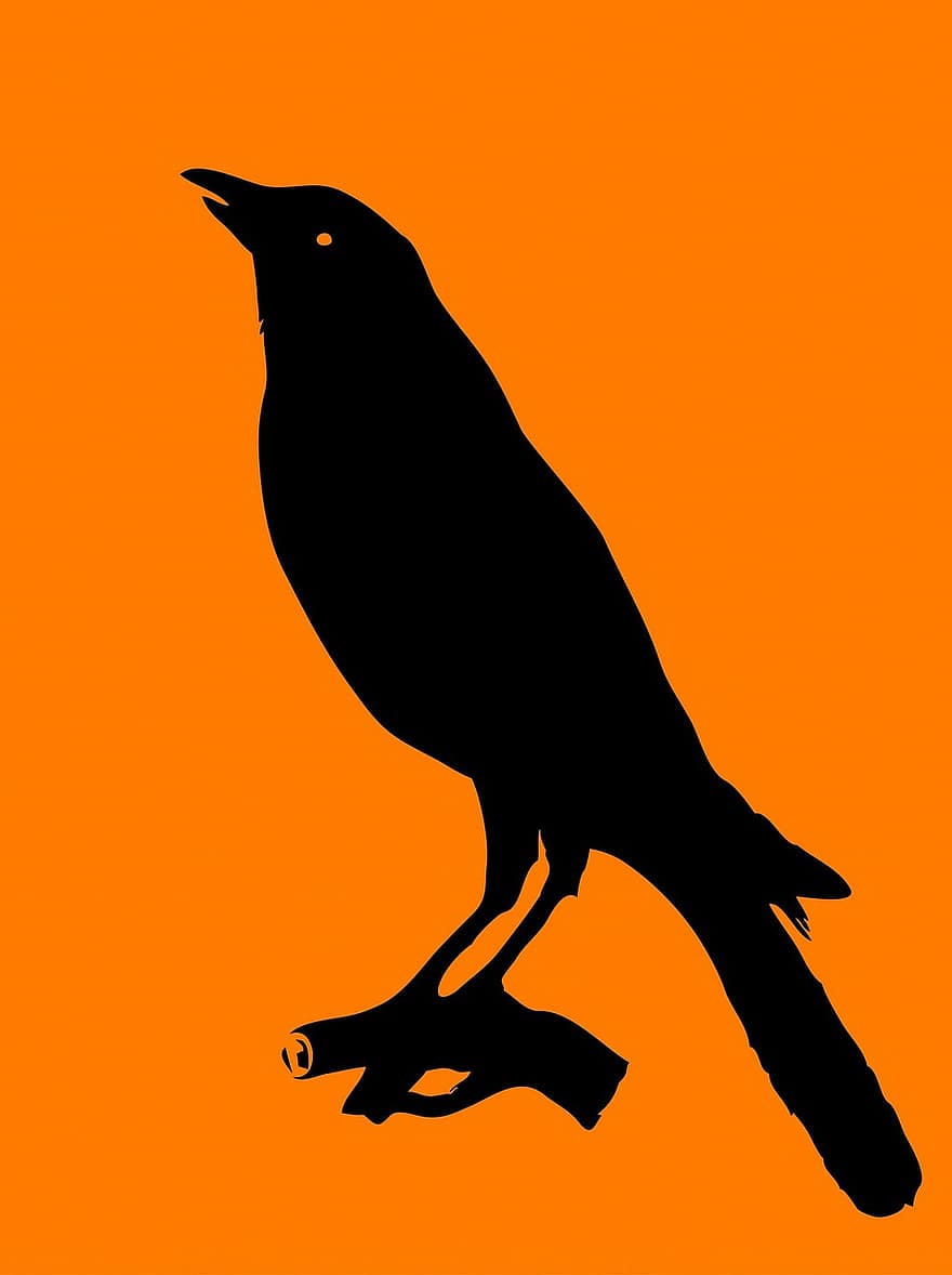 ворона, птах, тварина, чорний, логотип, форму, контур, силует, помаранчевий, фон, мистецтво