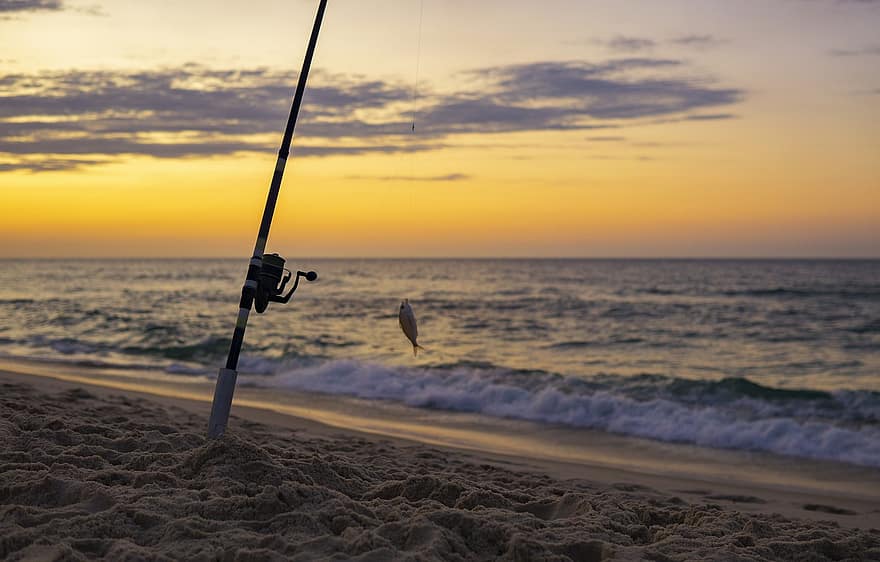 Ocean Beach, Fishing, Bait, Fish, Pole, Water, Sand, Sunset, Local, Fisherman, Ocean