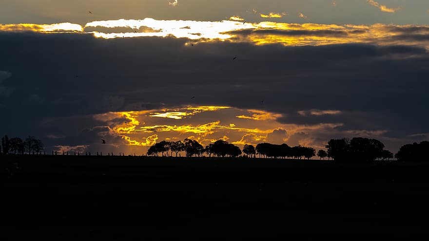 Sunset, Trees, Silhouettes, Landscape, Fields, Tree Silhouettes, Rural, Countryside, Sky, Clouds, Cloudscape