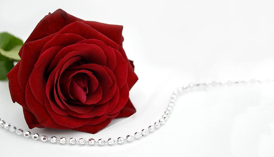 Wedding Veil, Rose, Red Rose, Accessory, Rhinestones, Flower, Red Flower, Bloom