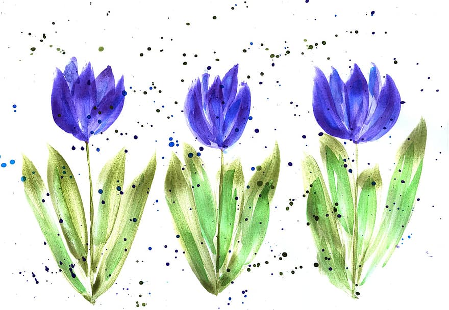crocus, tulipe, printemps, aquarelle, peinture à l'aquarelle, Pâques, fleurs, tulipes, la nature, jardin, fleur