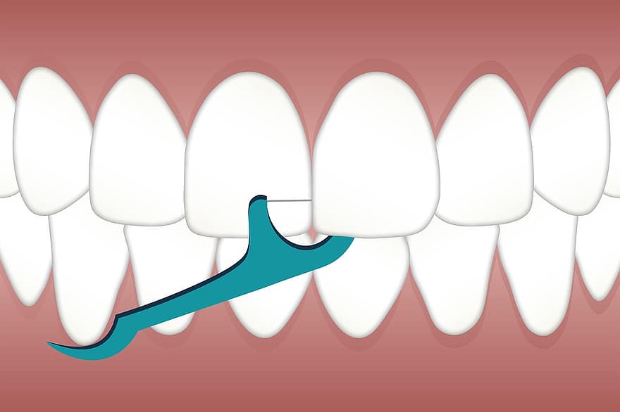 Plackers, dental, Flossere, tænder, rengøring, ren, hygiejne, tandpleje, tandlæge, tandbørste, mundtlig