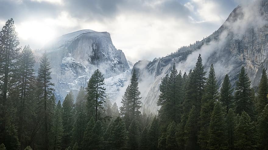 Yosemite, bjerge, træer, nåletræer, nåletræ, nåletræ skov, Nationalpark, bjergkæde, landskab, Skov, tåge