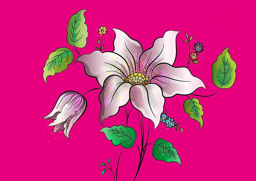 zieds, krāsa, raksturs, rozā daba, rozā krāsa