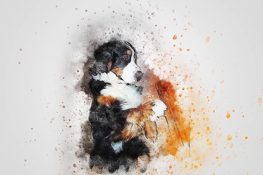 Dog, Animal, Art, Abstract, Watercolor, Vintage, Puppy, Emotion, Cute, Artistic, Nature