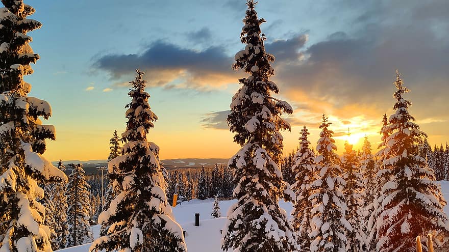 invierno, nieve, Navidad, árbol, Noruega, montañas, naturaleza, bosque, puesta de sol, temporada, paisaje