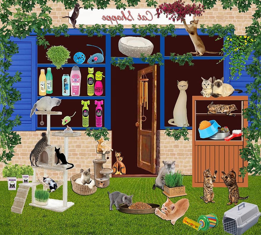 kaķis, Zooveikals, kaķiem, veikals, melns kaķis, montāža, kolāža, grozs, kabinets, pelēks kaķis, sarkanais kaķis