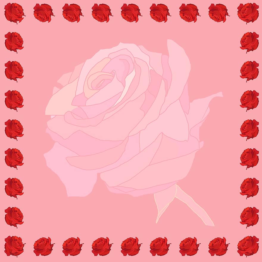 achtergrond, roos, rood, bloemen, rozen, roze, roze bloem