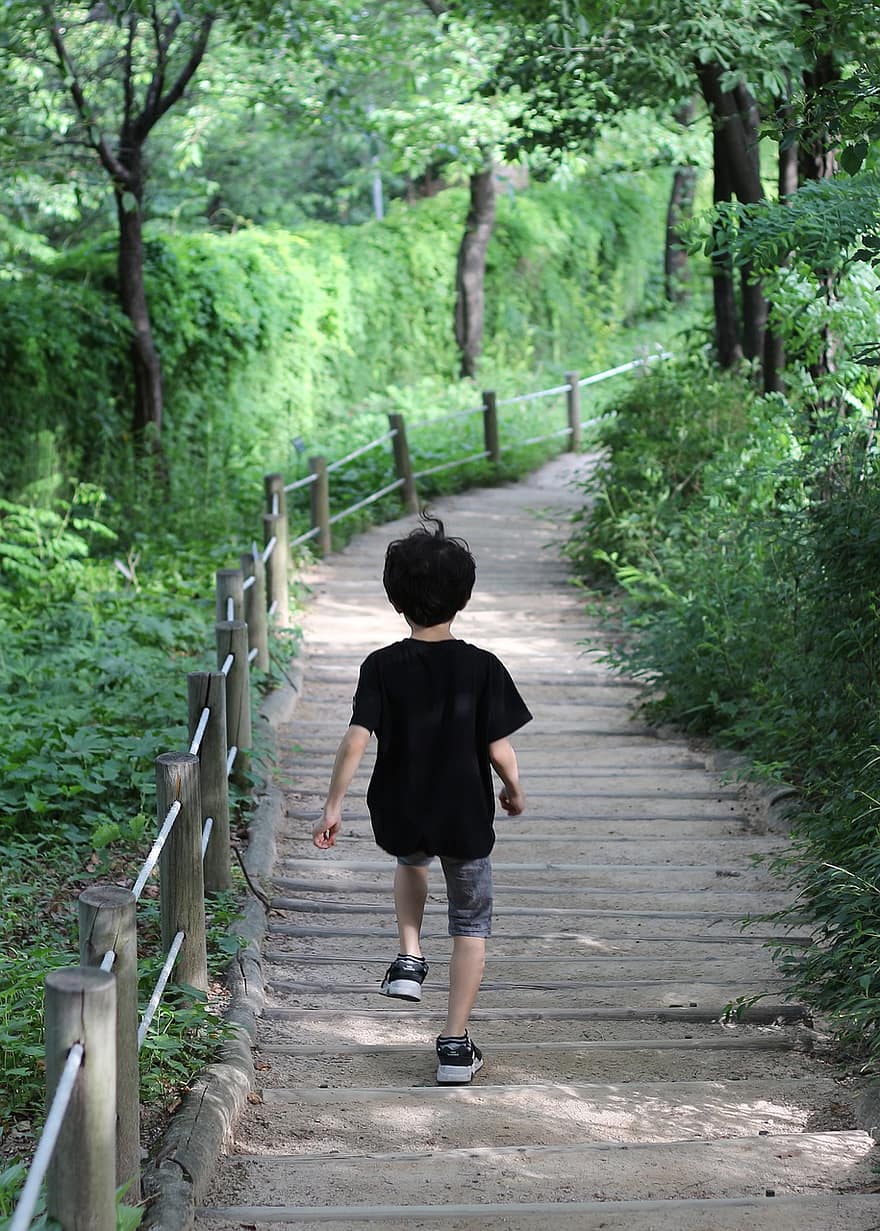 林道、歩く、自然、山、木、森林、子、一人、歩道、夏、幼年期